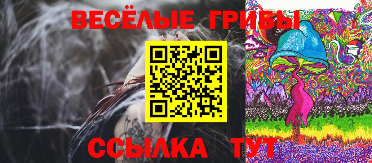Георгиевск  Галлюциногенные грибы Psilocybine cubensis  Вход с VPN  Галлюциногенные грибы Cubensis 